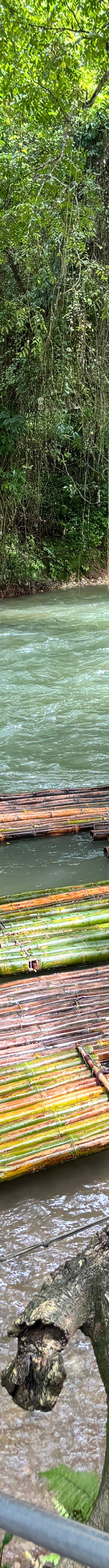 Great River Bamboo Rafting At Lethe 6