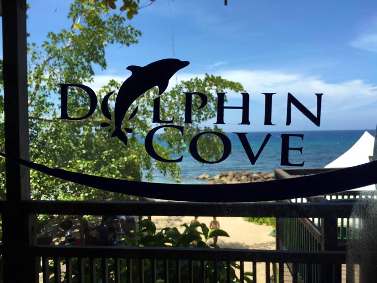 Dolphin Cove Ocho Rios