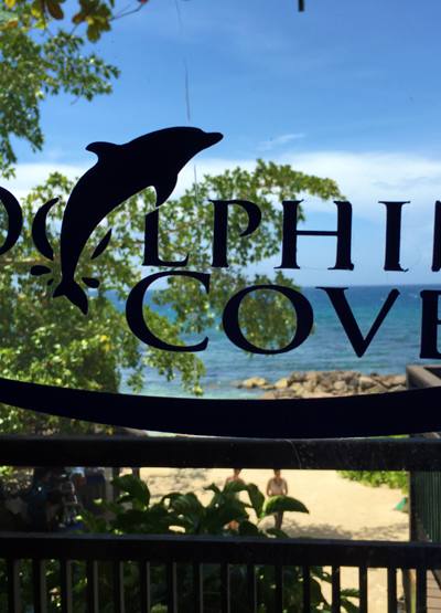 Dolphin Cove Ocho Rios 1