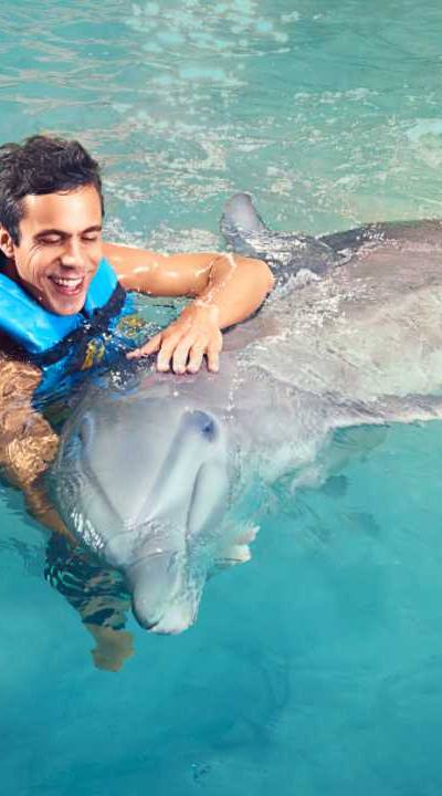 Dolphin Cove Ocho Rios 2